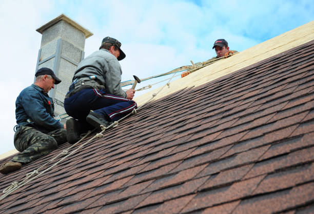 Best Local Roofing Companies  in Grayson, KY